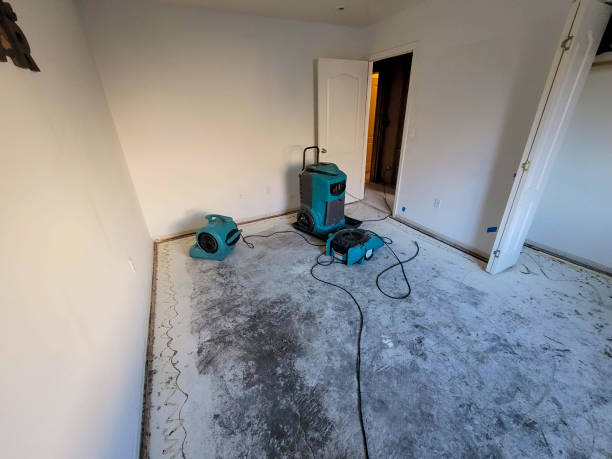Best Water damage repair service  in El Cerro, NM