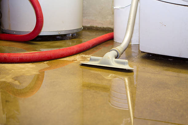 24/7 water damage repair in NM