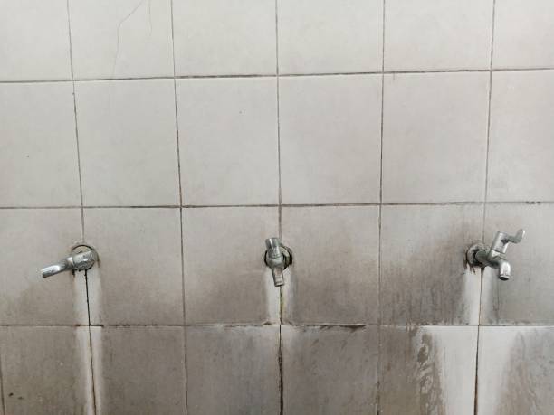 Sewage cleanup and water damage restoration in NM