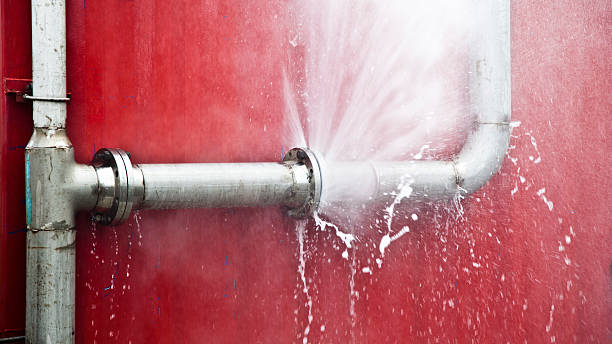 Best Sewage cleanup and water damage restoration  in El Cerro, NM